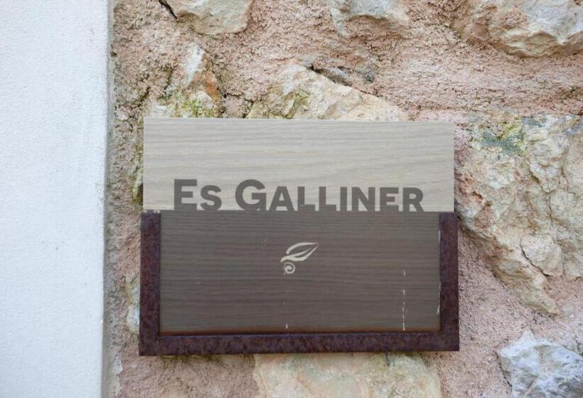 Отель Finca S Hort De Sa Begura