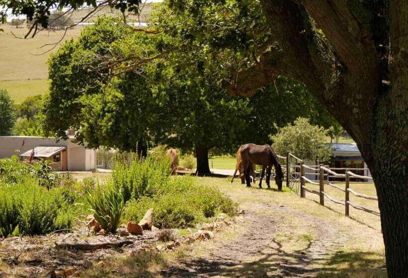 فندق Kleinwatervalplaas Farm Stay Accomodation