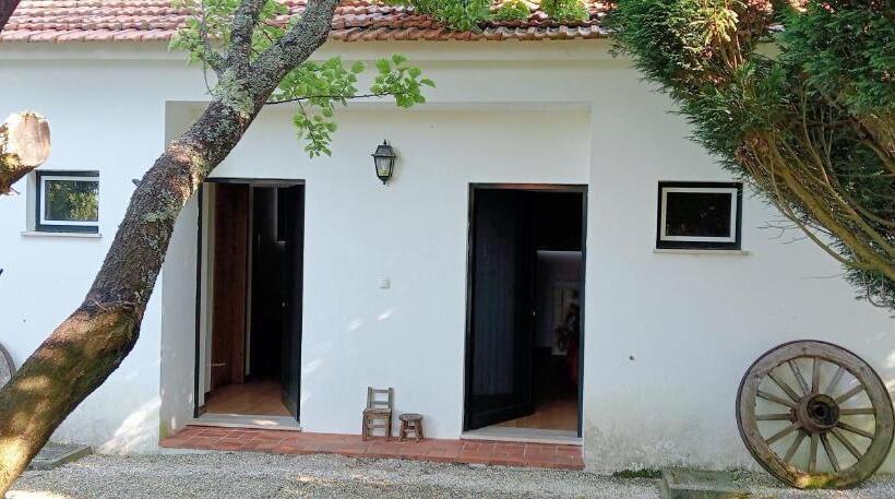 酒店 Casa Luis Pato