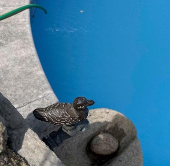 酒店 Casa Luis Pato