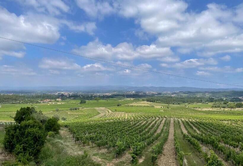 酒店 Casa Luis Pato