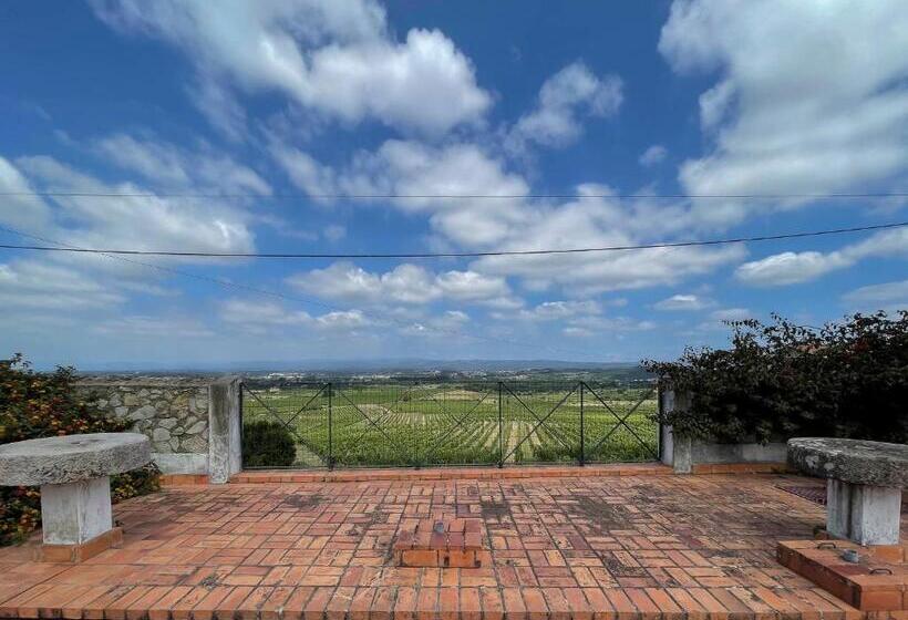 酒店 Casa Luis Pato