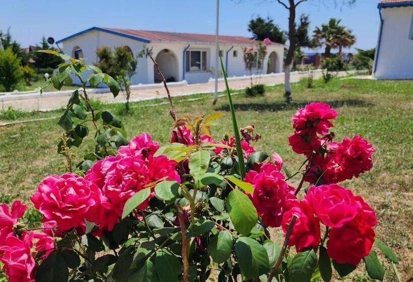 Hotel Mavi̇ Su Turi̇zm Tarim Hayvancilik İnş.san. Ve Ti̇c.ltd.şti̇