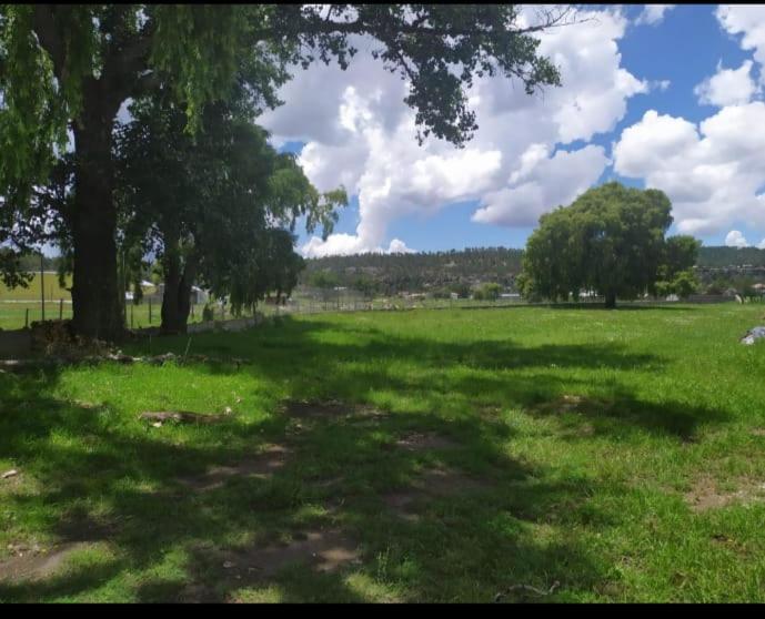 Отель Meson Del Bosque