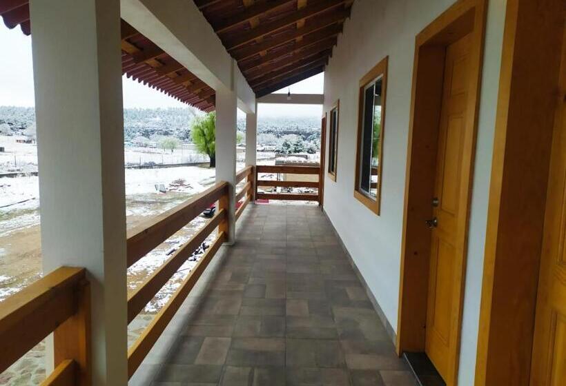 호텔 Meson Del Bosque