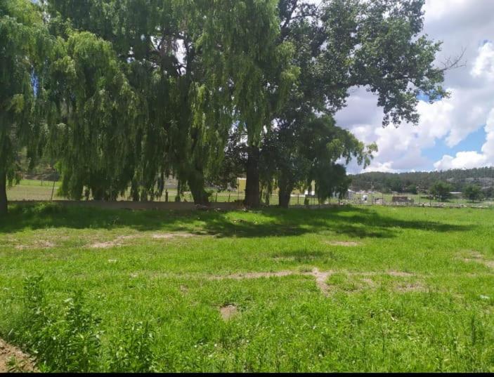 هتل Meson Del Bosque