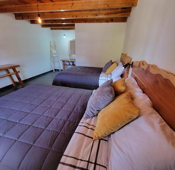 Отель Meson Del Bosque