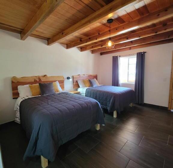 Отель Meson Del Bosque