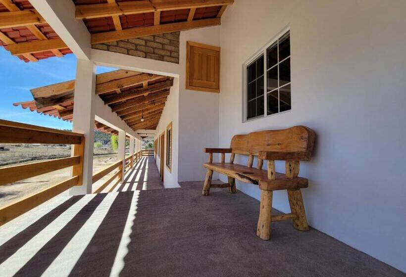 Отель Meson Del Bosque