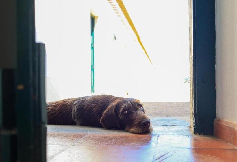 ホテル Monte De Bordalos