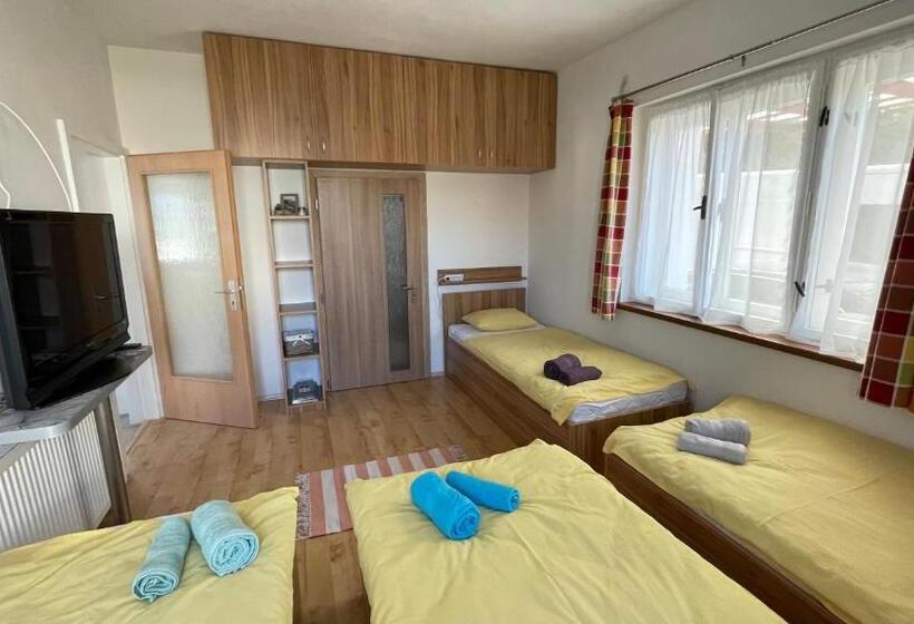 پانسیون Guesthouse Trnčín