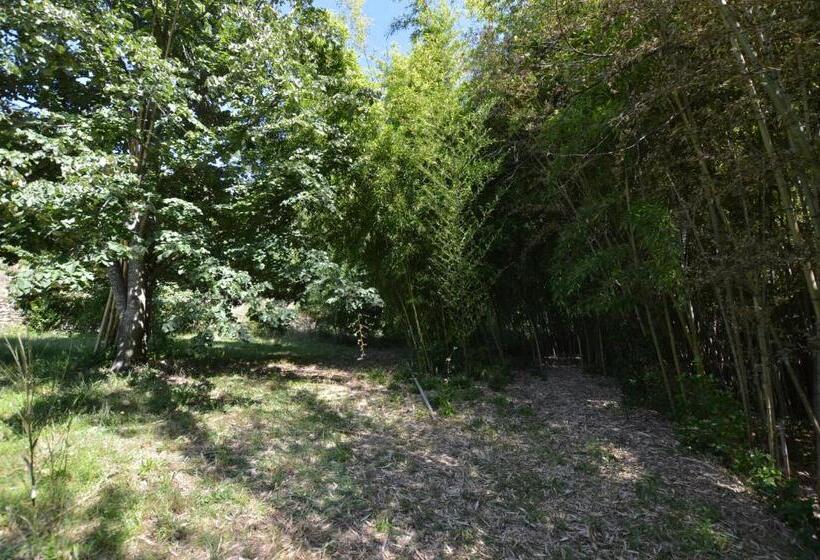 Пансион Mas Des Druilles