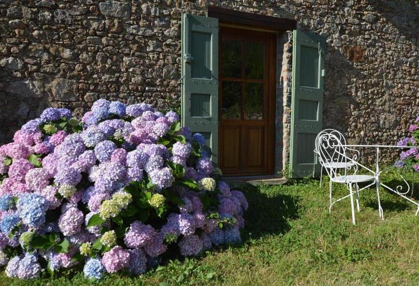 Пансион Mas Des Druilles