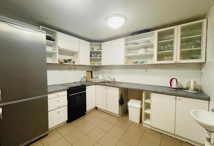 پانسیون Penzion Level