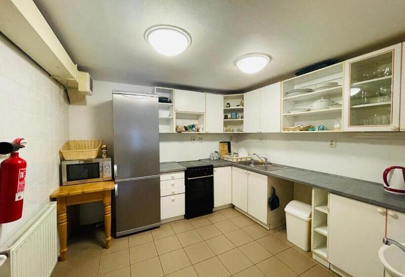 پانسیون Penzion Level