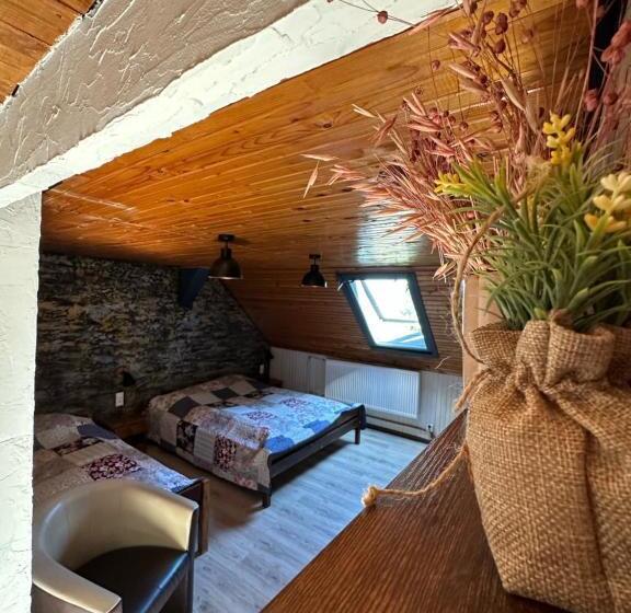 ペンション Ubytovanie Mrázik Hnilčík