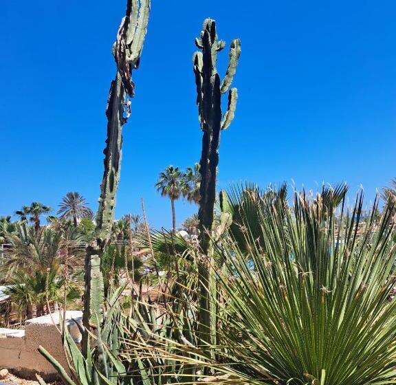 پانسیون Villa Paco Djerba 2 Suites Avec Piscine à Débordement