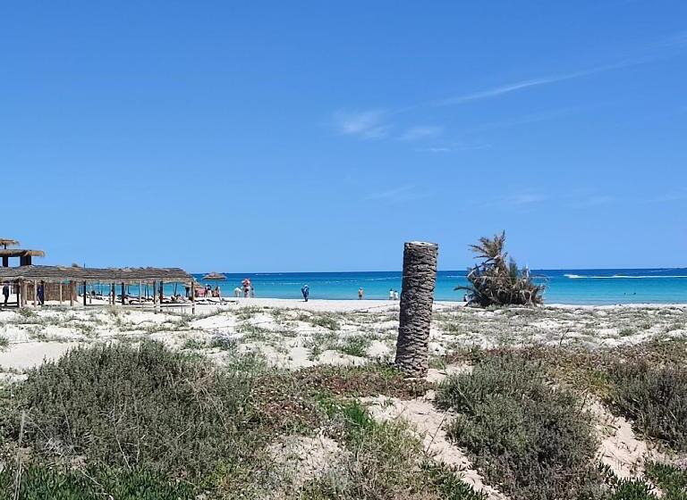 پانسیون Villa Paco Djerba 2 Suites Avec Piscine à Débordement