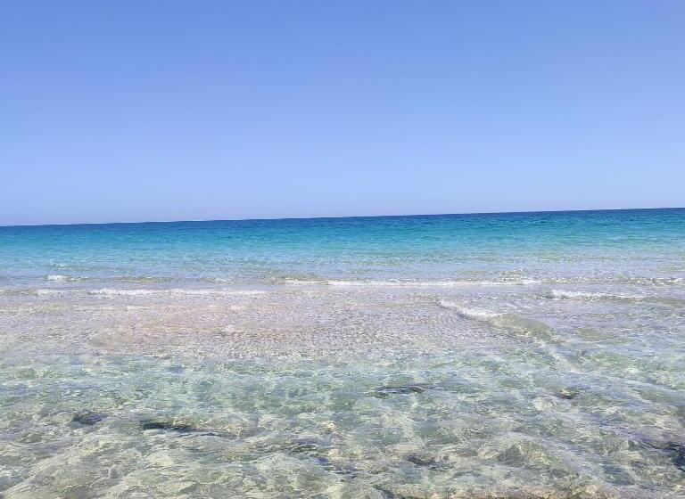 پانسیون Villa Paco Djerba 2 Suites Avec Piscine à Débordement