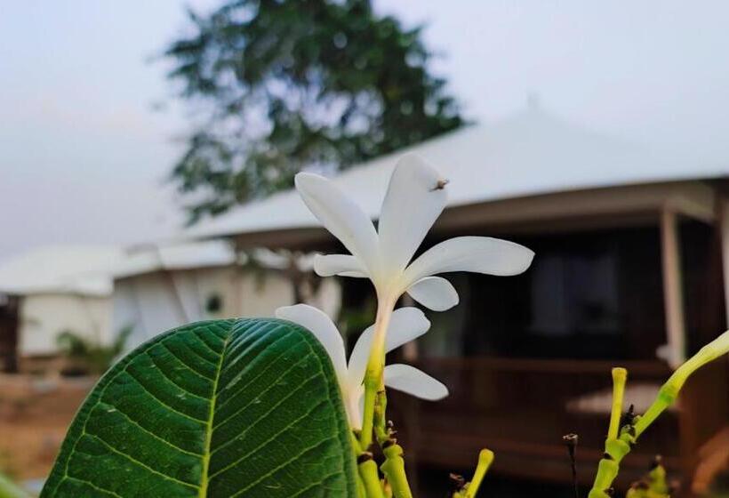 Shrigo Resort Pushkar