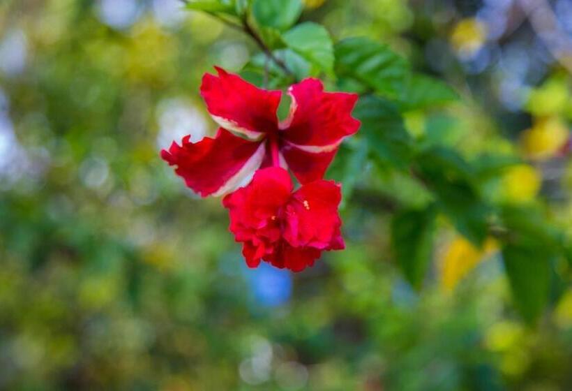 Tawanchay Hotel Phatthalung