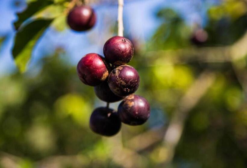 Tawanchay Hotel Phatthalung