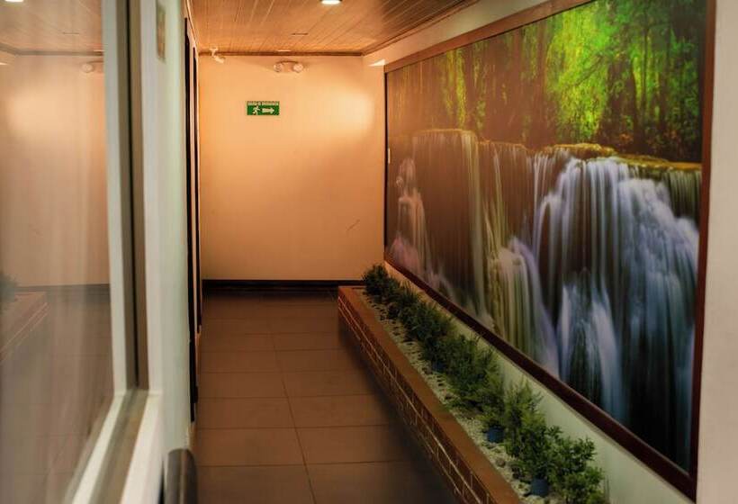 Отель La Casona Real