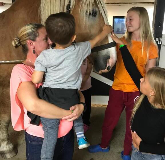 Отель Vallby Farm Camp