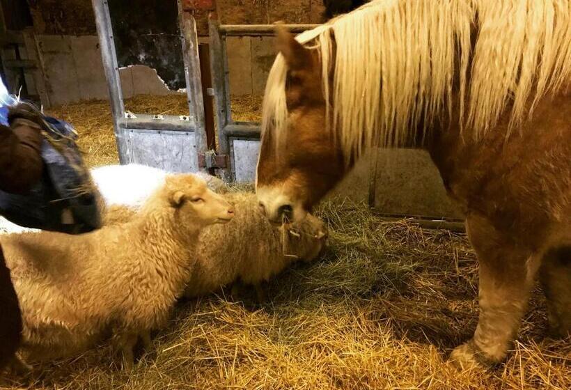 Отель Vallby Farm Camp