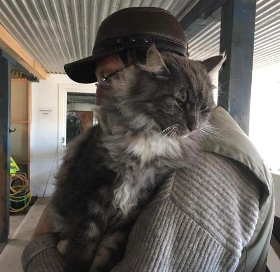 Отель Vallby Farm Camp