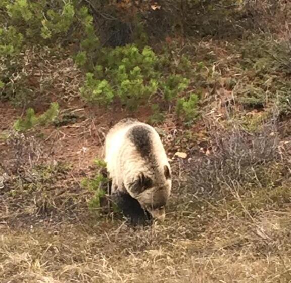 Пансион Greenwood Lodge