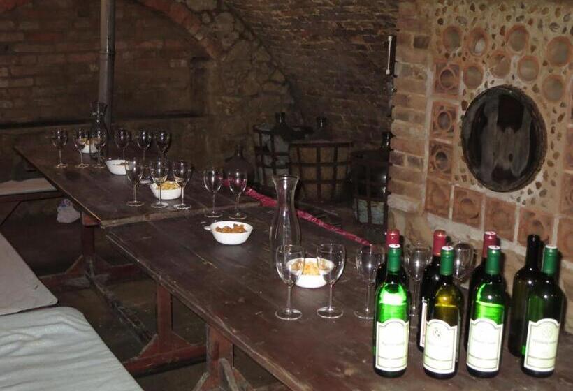 פנסיון Penzion Bulhary S Vinným Sklepem