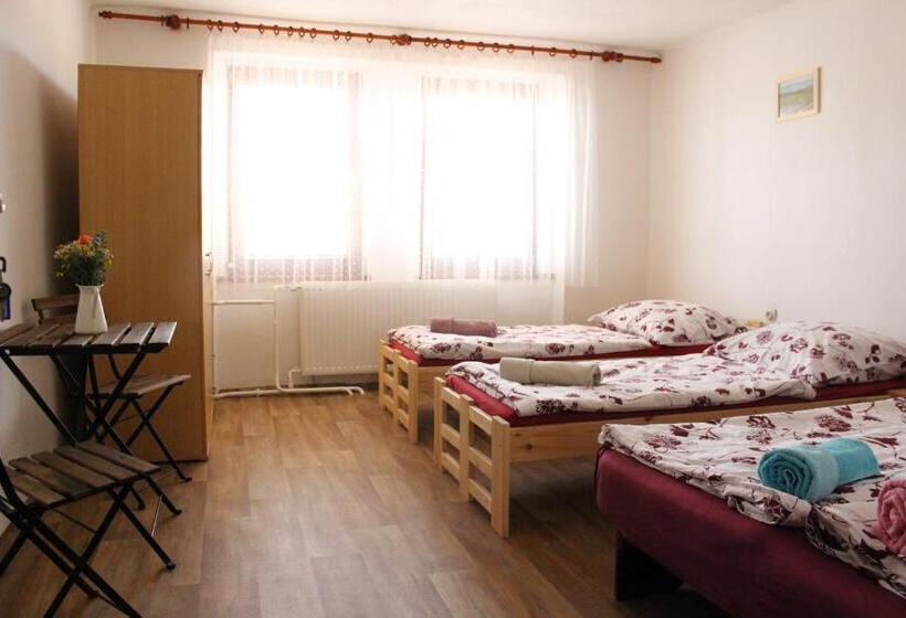 פנסיון Penzion Bulhary S Vinným Sklepem