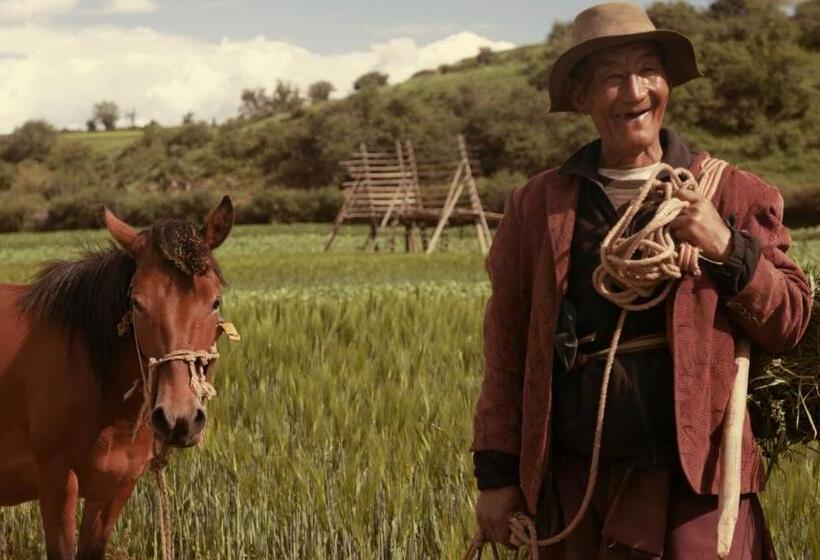 مبيت وإفطار Courtyard Shangri La 藏舍小院