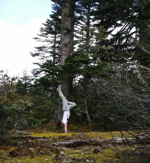 مبيت وإفطار Courtyard Shangri La 藏舍小院