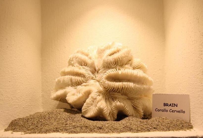 هتل Garni Corallo