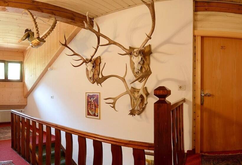 Отель Garni Snaltnerhof