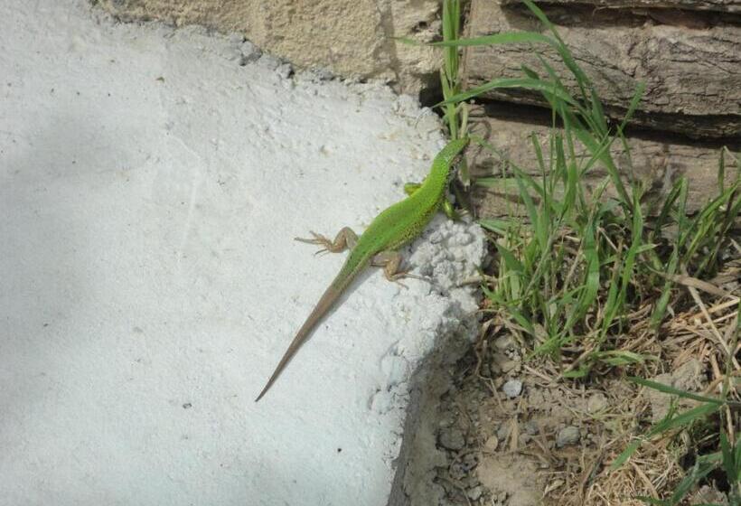 Asthmahotel Abaliget