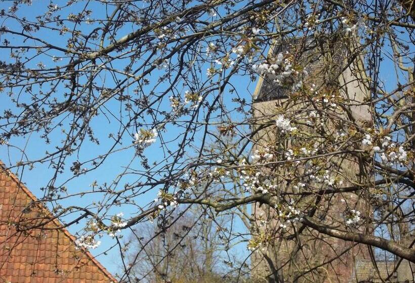 צימר T Griene Hemeltsje