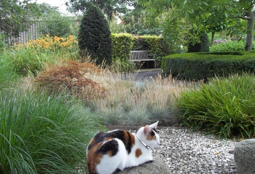 צימר T Griene Hemeltsje