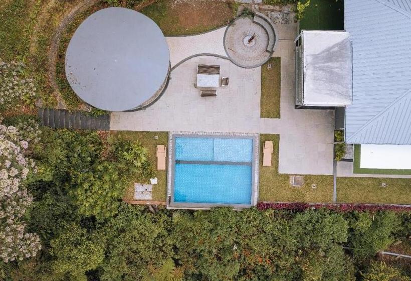 Elixir Woods Resort And Spa