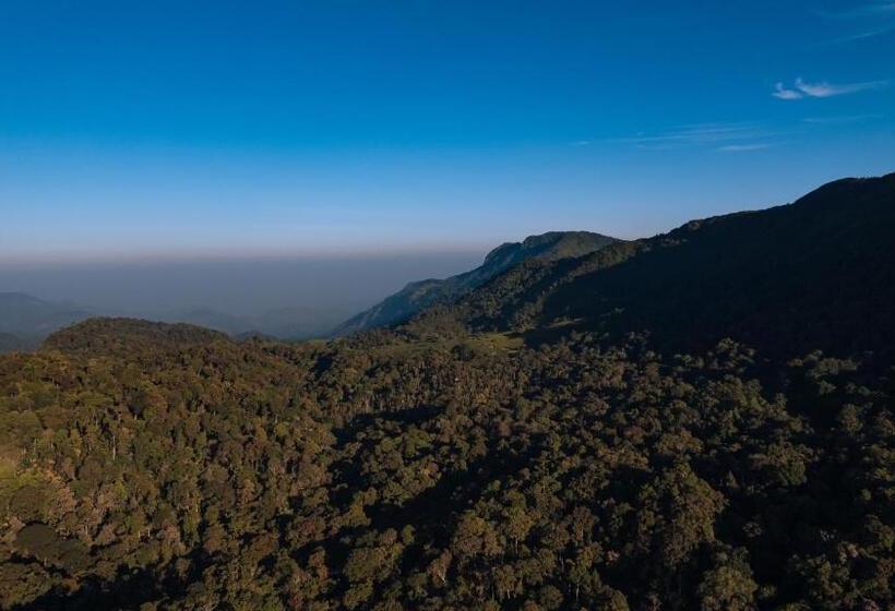 Elixir Woods Resort And Spa