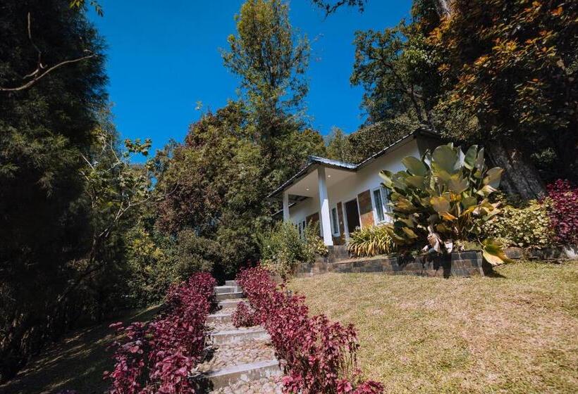 Elixir Woods Resort And Spa