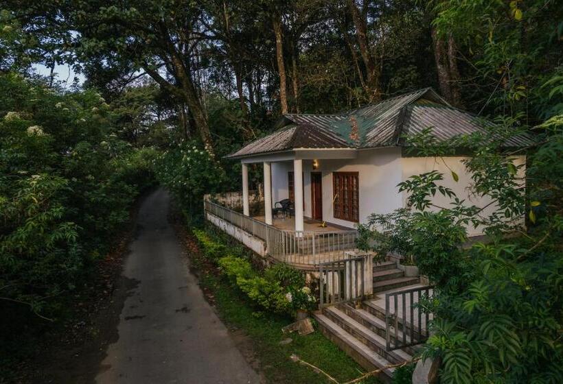 Elixir Woods Resort And Spa