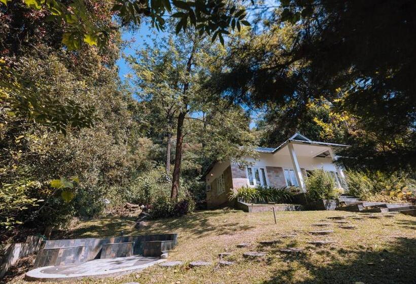 Elixir Woods Resort And Spa