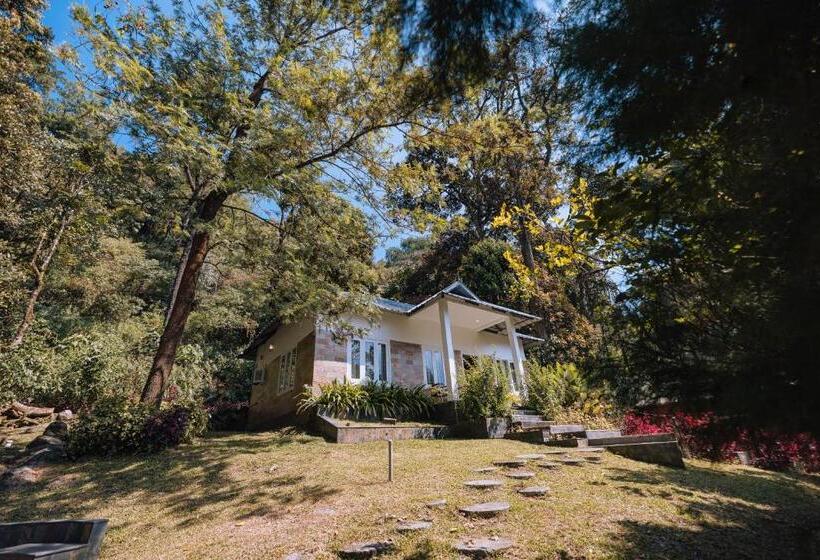 Elixir Woods Resort And Spa