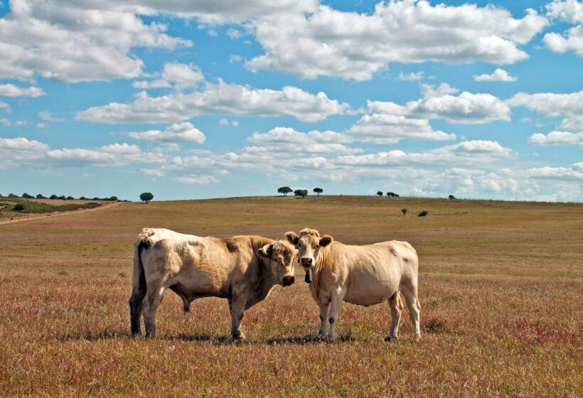 Отель O Monte Do Alhinho Turismo Rural