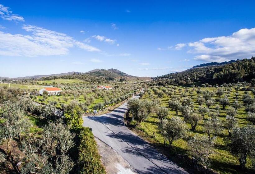 ペンション Convento Senhora Da Vitória