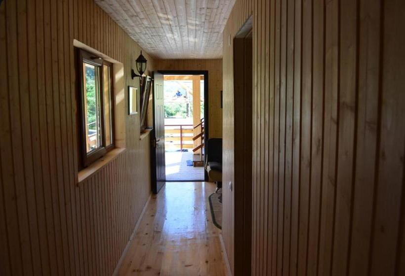 پانسیون Juta Guest House