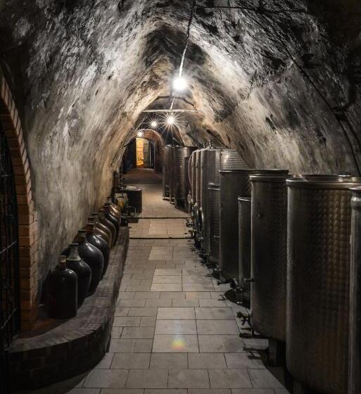 پانسیون Penzion Sklep Sv. Urbana